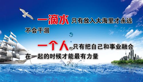 kaiyun官方网站:牵引车前轮装啥轮胎好一点(牵引车前轮用什么轮胎)